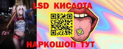 спиды Волгодонск