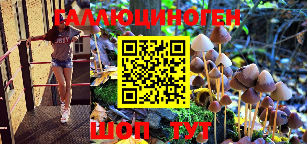 Псилоцибиновые грибы Magic Shrooms  Вход с VPN  Новороссийск  хочу наркоту  Галлюциногенные грибы мухоморы 